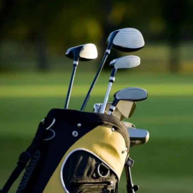 _20230207113641 _20230207113641